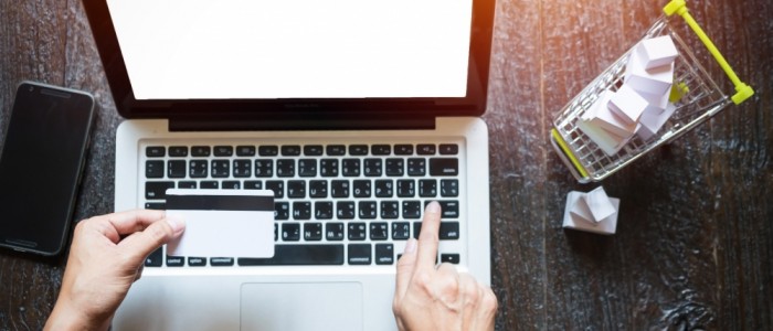 Establishing an E-commerce Site